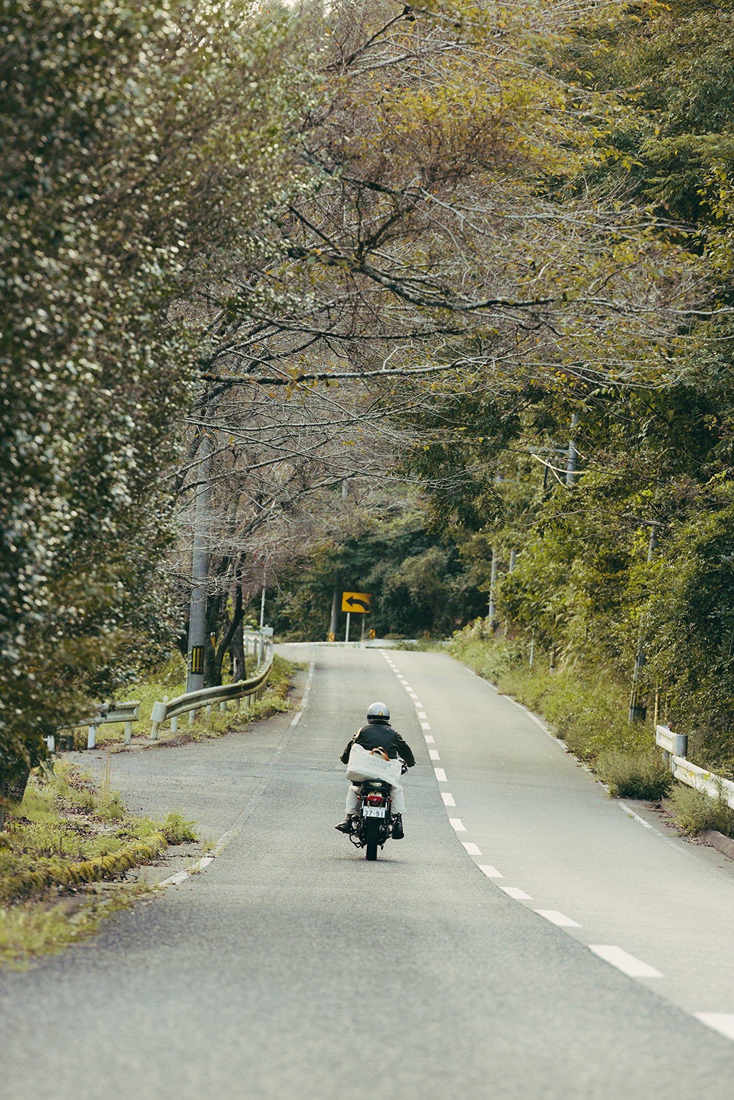 道は続くよどこまでも